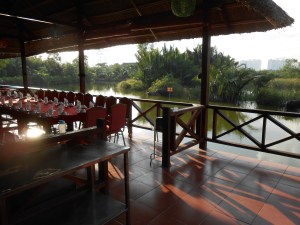 Hi rise over rice paddy