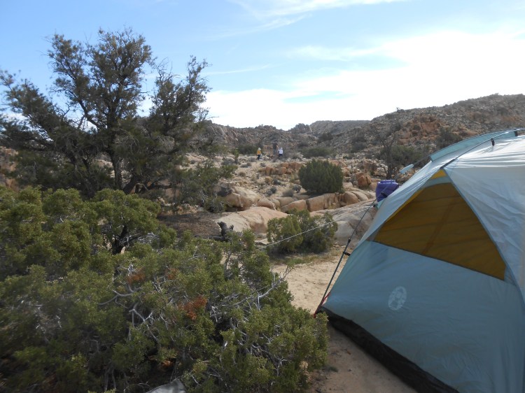 twins running around