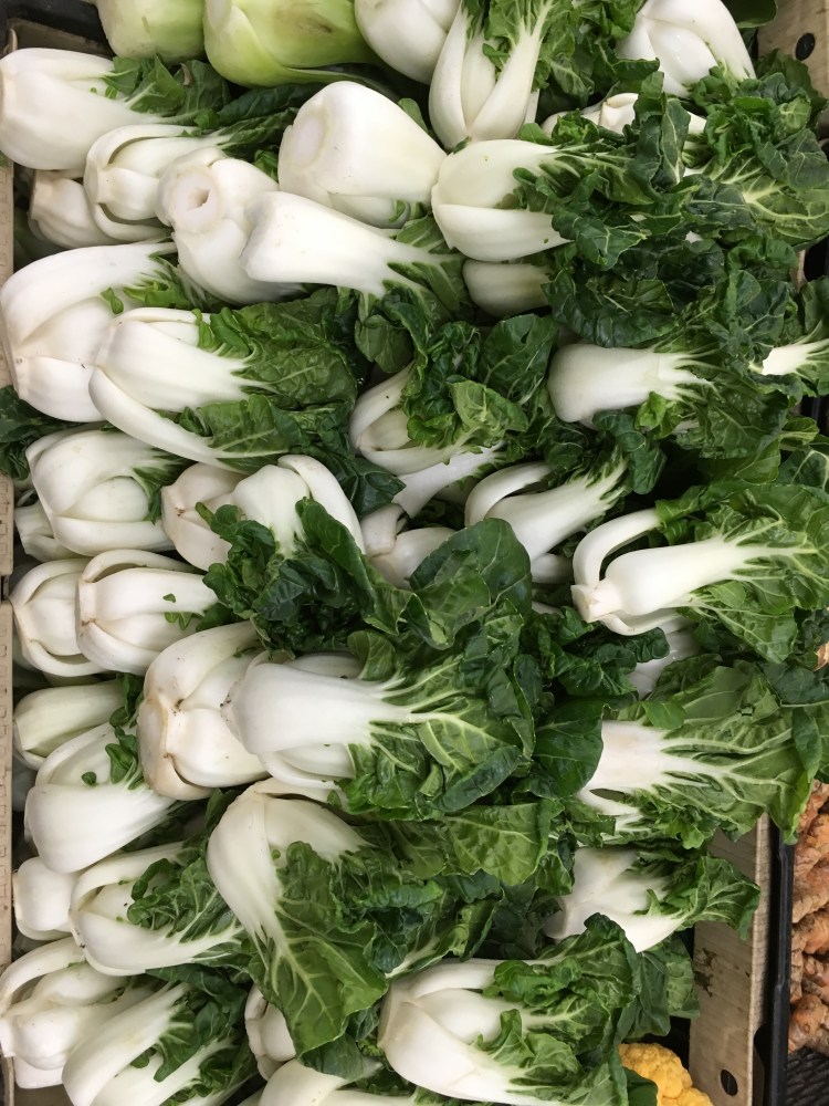 bok choy